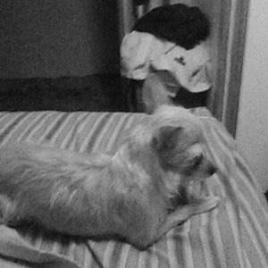 Meet your Posher, Colt